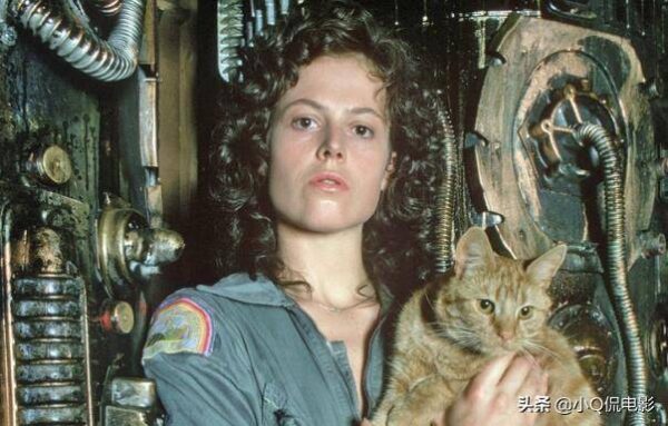 最经典的十部怪兽电影排名(最好看的怪兽电影排名前十)-1 最经典的十部怪兽电影排名(最好看的怪兽电影排名前十)-1