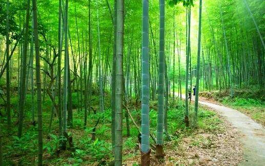 广东十大最美古村落排名(广东古村落旅游景点有哪些)-1