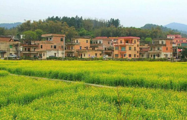 广东十大最美古村落排名(广东古村落旅游景点有哪些)-1