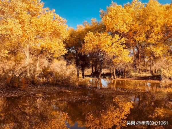 中国热门自驾游目的地排名(中国自驾游必去的10个地方)-1 中国热门自驾游目的地排名(中国自驾游必去的10个地方)-1