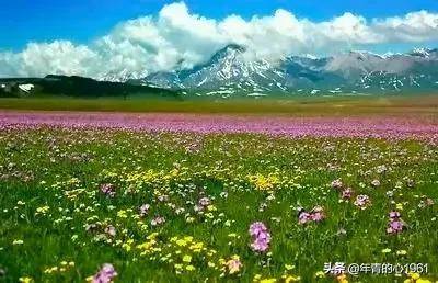 中国热门自驾游目的地排名(中国自驾游必去的10个地方)-1 中国热门自驾游目的地排名(中国自驾游必去的10个地方)-1