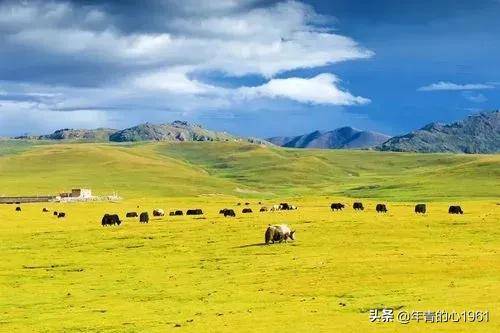 中国热门自驾游目的地排名(中国自驾游必去的10个地方)-1 中国热门自驾游目的地排名(中国自驾游必去的10个地方)-1