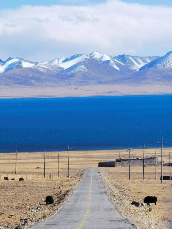 十大自驾游必去之地排名(自驾游去哪里玩比较好)-1