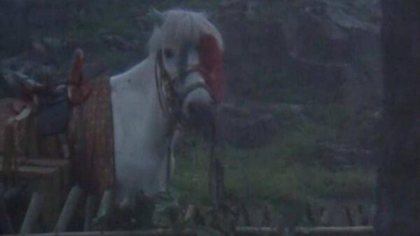 9.8分以上的国产电视剧(中国史上评分最高的10部剧排名)-1