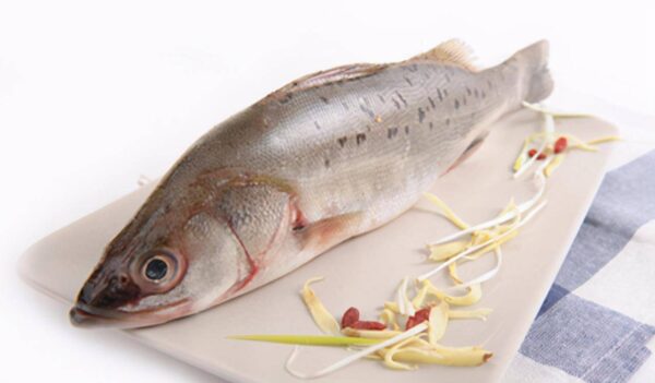 鲈鱼是淡水鱼还是海鱼(淡水鲈鱼和海鲈鱼区别在哪)-1