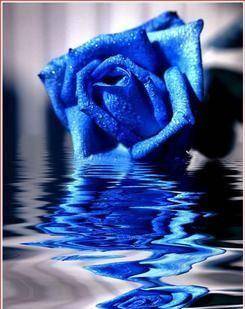 蓝颜知己是什么关系(蓝颜知己是什么意思)-1