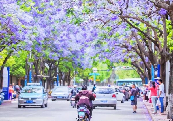 中国最安全城市排名(安全又宜居的15座城市榜排名)-1