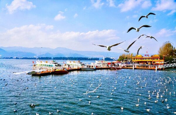 中国最安全城市排名(安全又宜居的15座城市榜排名)-1