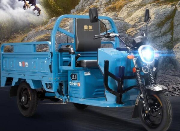 电动三轮车排名前十名(电动三轮车哪个牌子质量最好)-1