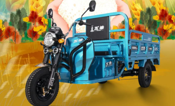 电动三轮车排名前十名(电动三轮车哪个牌子质量最好)-1