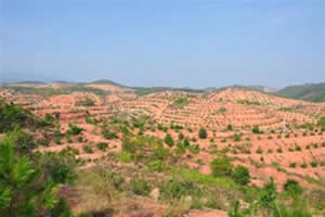 中国未来十大值得投资的朝阳行业