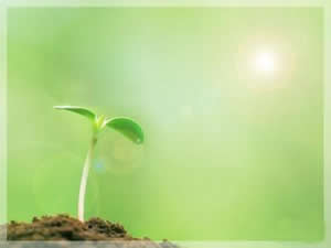 中国未来十大值得投资的朝阳行业