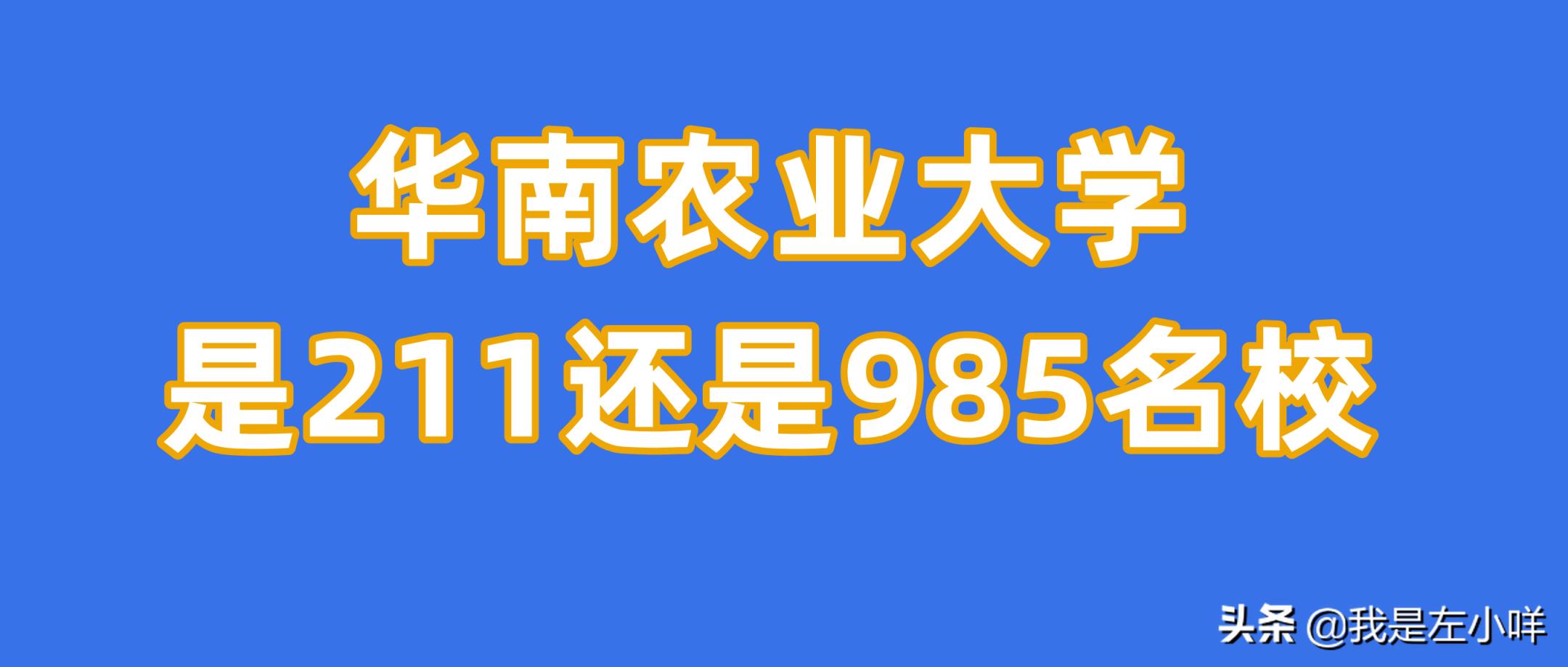 华农是985还是211(武汉华农大学是重点大学吗算名校吗)