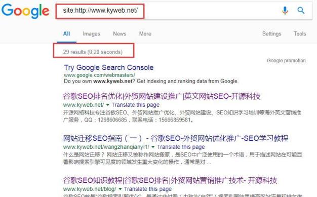 谷歌SEO新手教程？