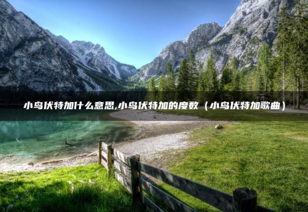 有哪些保险公司比较好（哪家保险公司口碑最好）
