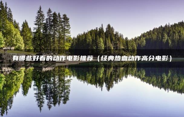 有哪些好看的动作电影推荐（经典热血动作高分电影）