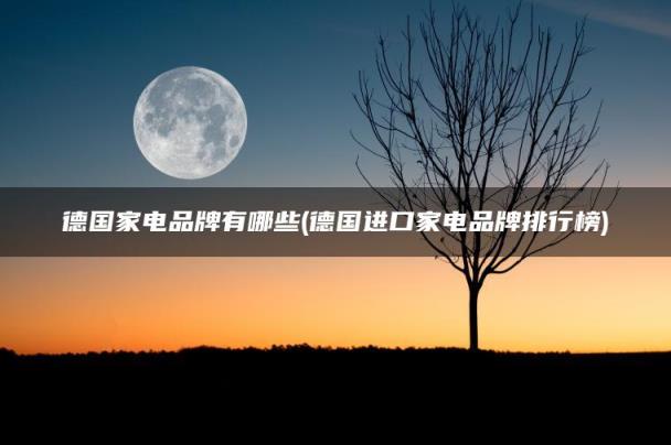 德国进口家电品牌排行榜(德国家电品牌有哪些)