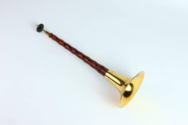 中国乐器排名前十名有哪些(中国乐器的分类和具体乐器)-1