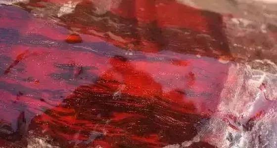 国标红木5属8类29种及排名(红木五属八类29种有哪些)-1