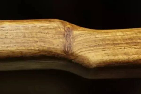 国标红木5属8类29种及排名(红木五属八类29种有哪些)-1