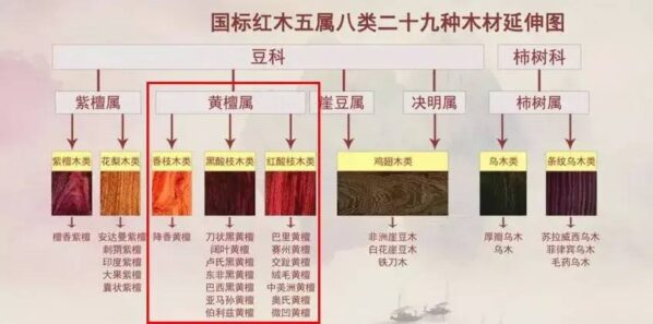 国标红木5属8类29种及排名(红木五属八类29种有哪些)-1