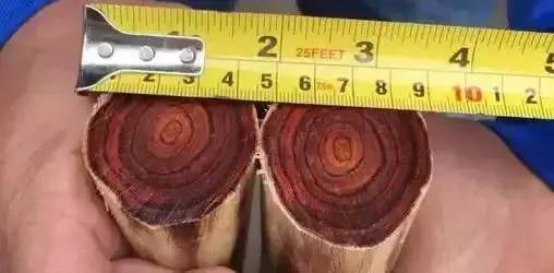 国标红木5属8类29种及排名(红木五属八类29种有哪些)-1