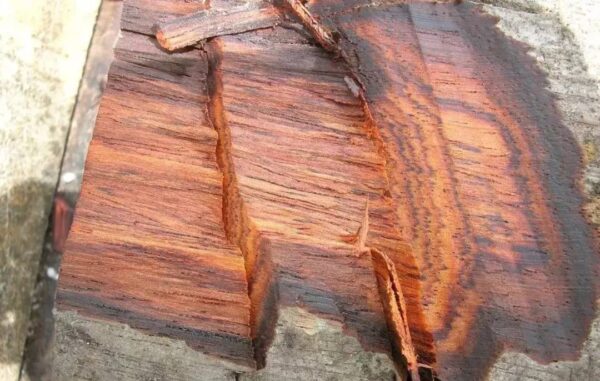 国标红木5属8类29种及排名(红木五属八类29种有哪些)-1