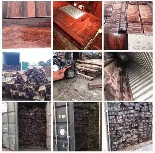 国标红木5属8类29种及排名(红木五属八类29种有哪些)-1