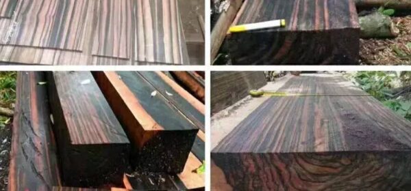 国标红木5属8类29种及排名(红木五属八类29种有哪些)-1