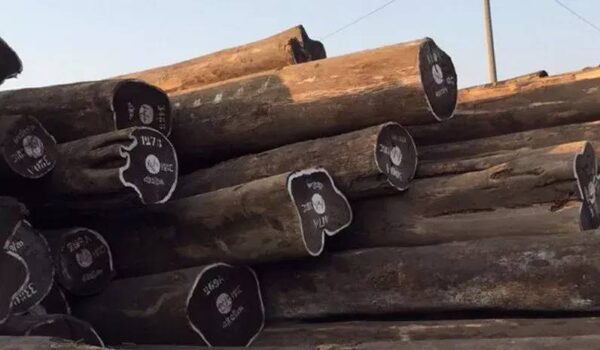 国标红木5属8类29种及排名(红木五属八类29种有哪些)-1