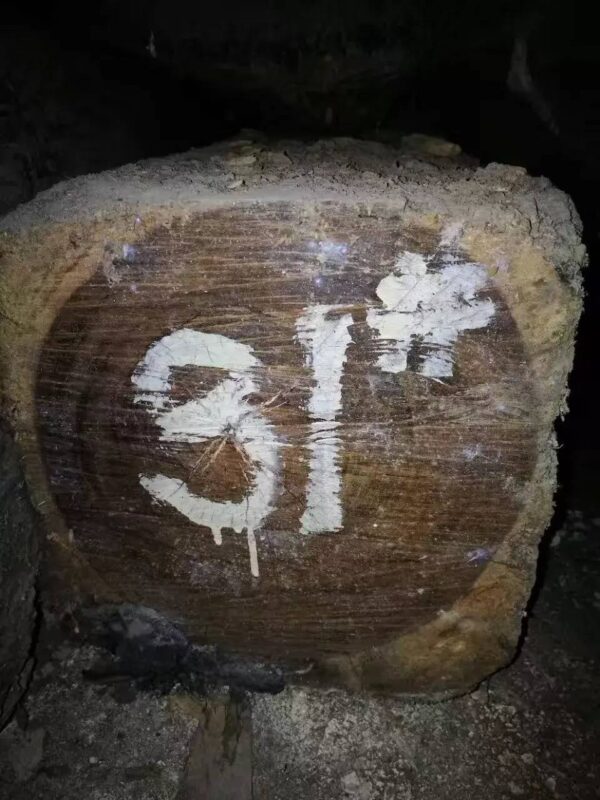 国标红木5属8类29种及排名(红木五属八类29种有哪些)-1