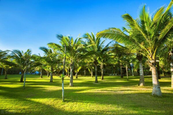 三亚酒店排名前十名(三亚知名酒店有哪些名字)-1