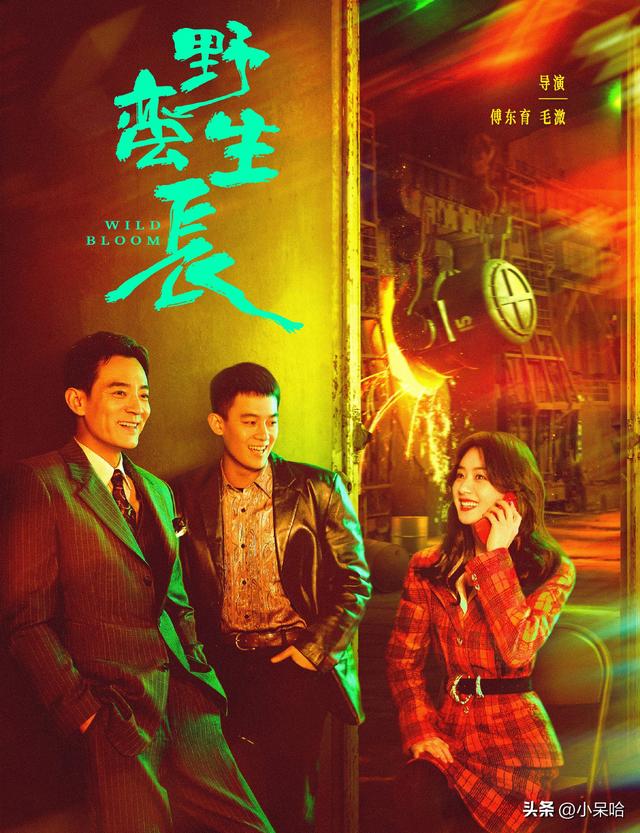 商战剧排行榜前十名（最好的商战电视剧排行榜）