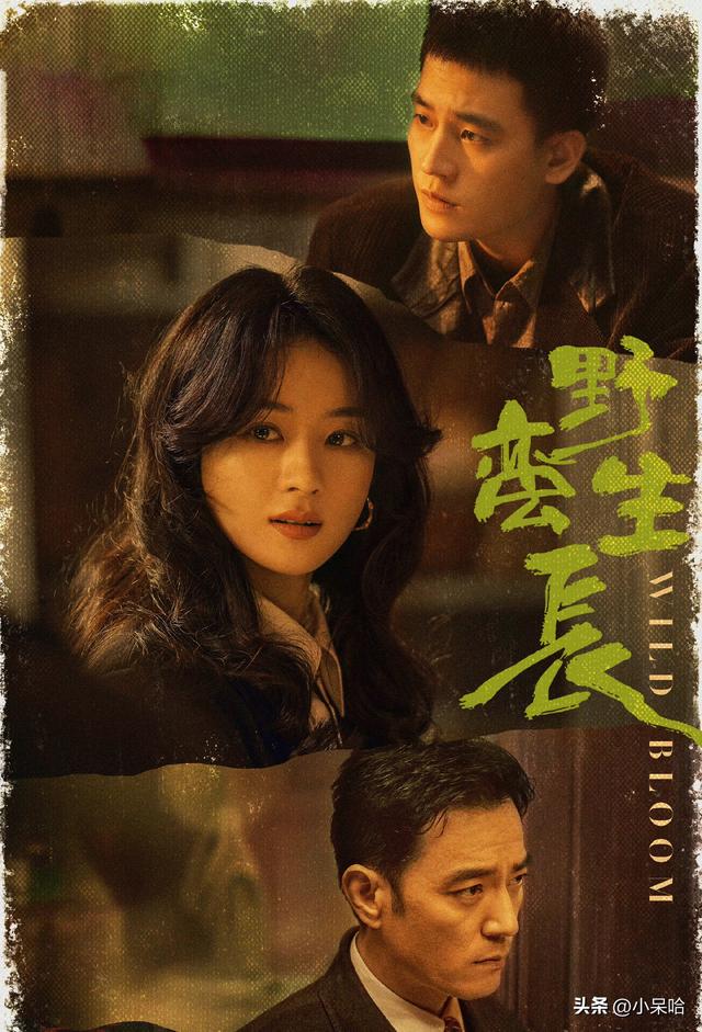 商战剧排行榜前十名（最好的商战电视剧排行榜）