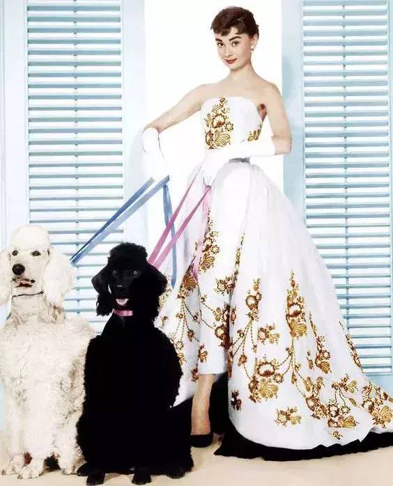 大牌女装品牌大全排行榜(国际品牌女装排行榜前十名)-1