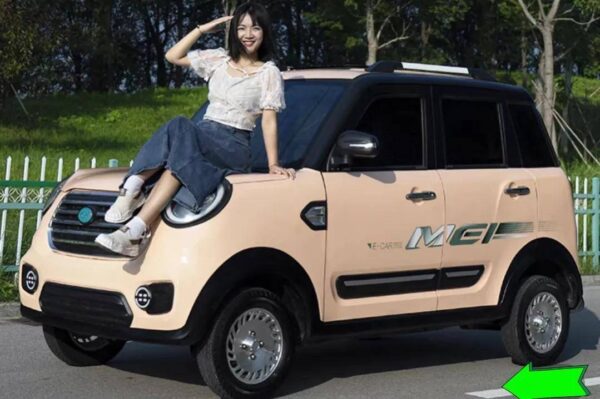 老年代步车排行榜前十名(最好老年代步电动四轮车)-1