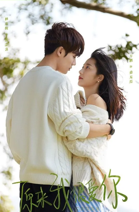 偶像剧电视剧排行榜前十名(好看的偶像电视剧推荐几部)-1