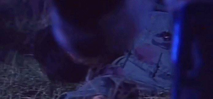 全球十大丧尸片排行榜(全球最好看的丧尸恐怖片)-1 全球十大丧尸片排行榜(全球最好看的丧尸恐怖片)-1