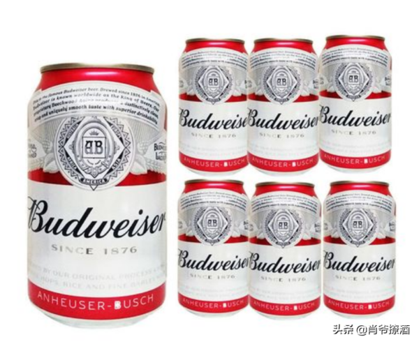 国内啤酒销量排行榜前十名(中国销量最好的啤酒)-1 国内啤酒销量排行榜前十名(中国销量最好的啤酒)-1