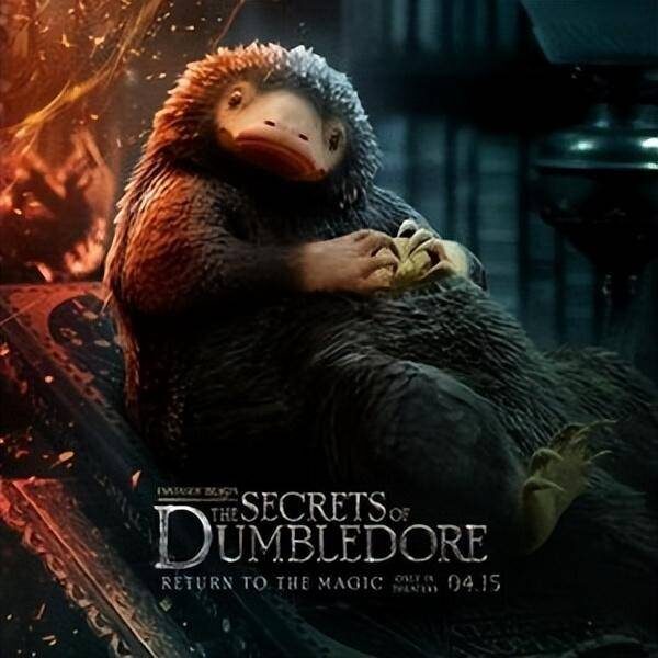 奇幻电影排行榜前十名(有哪些好看的欧美奇幻电影)-1